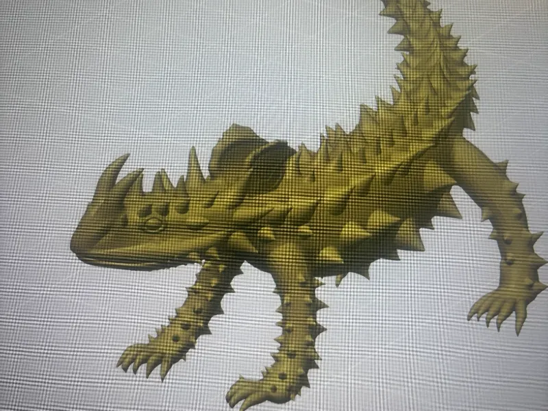 Thorny Devil Lizard