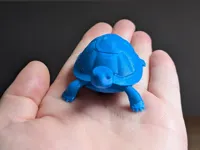 Tortue — photo 2