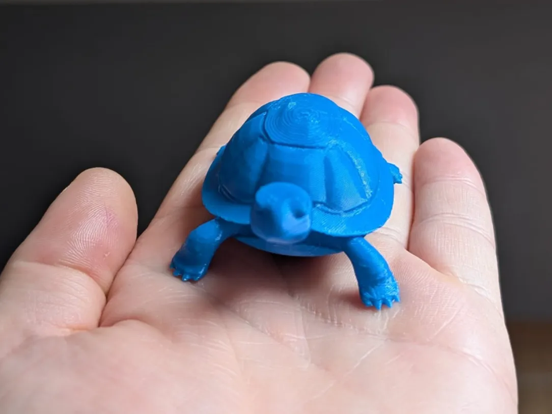 Tortue