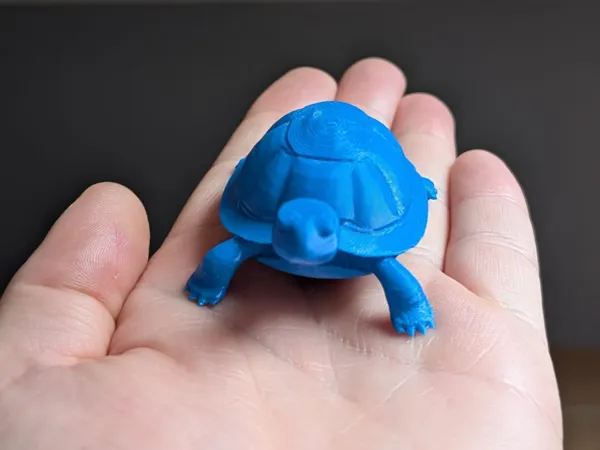 Tortue