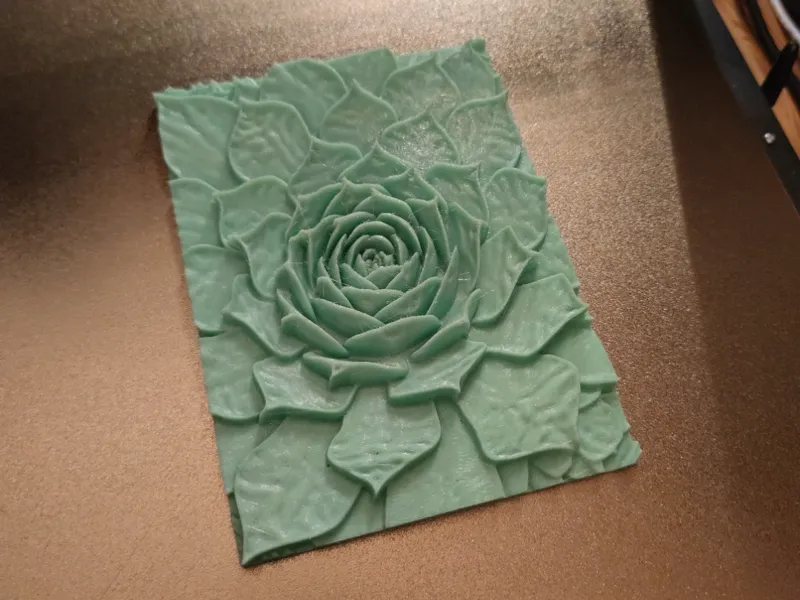 Dachwurz 3D Bild