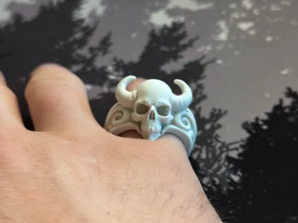 https://makerworld.bblmw.com/makerworld/model/US4f3585dc2862ec/design/2025-06-09_8200063f84566.jpg