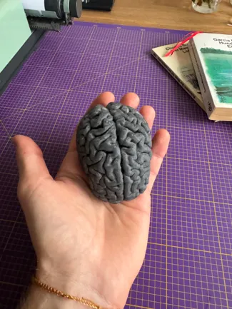 Human Brain