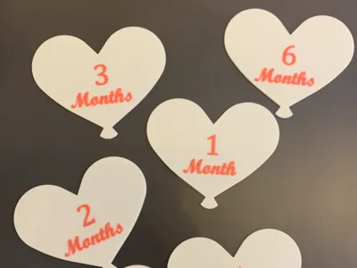 Baby Milestone Heart