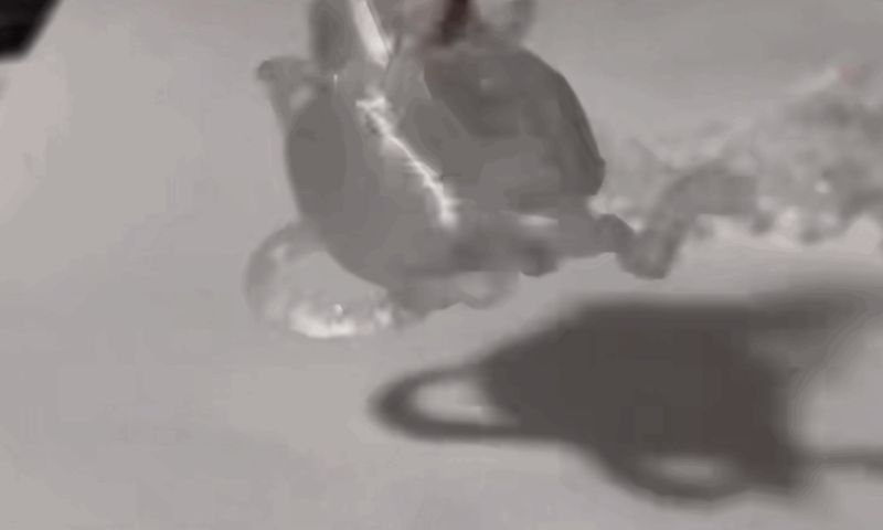 麻雀家巧仙
