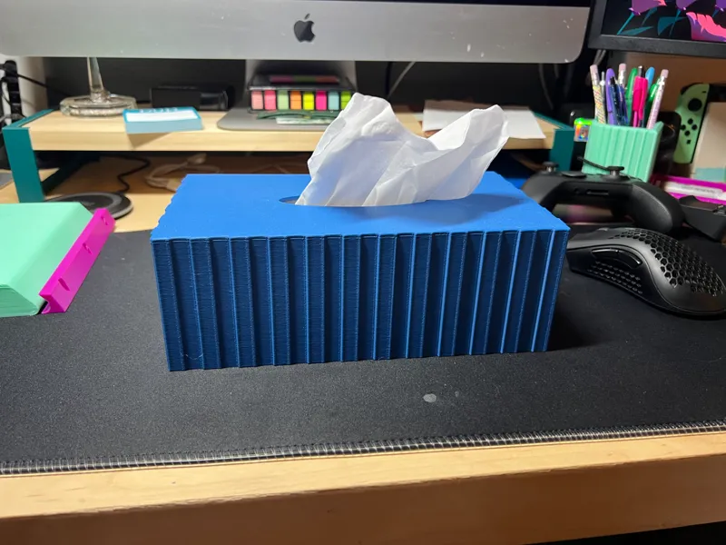 Small Long Tissue Box