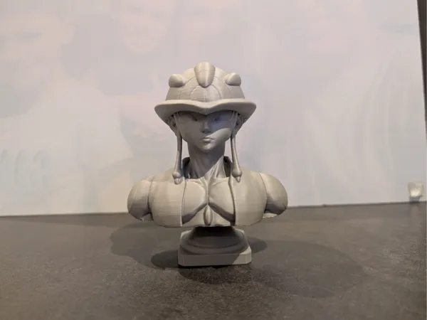 https://makerworld.bblmw.com/makerworld/model/US4f40c3c4957731/design/66e135223b572836.jpg