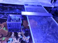 0.2mm layer, 4 walls, 15% infill