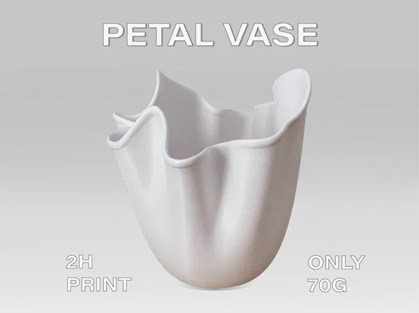 https://makerworld.bblmw.com/makerworld/model/US4f434a92b116a5/design/2025-06-22_f27ecfee74f268.png