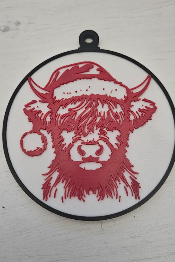https://makerworld.bblmw.com/makerworld/model/US4f467fc54e6e1c/design/2024-11-28_2120f42c580208.jpg