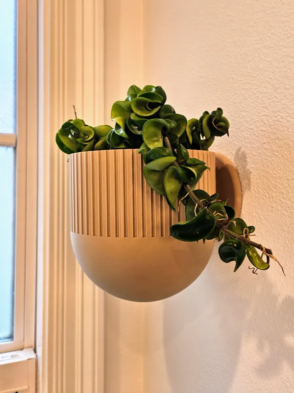 https://makerworld.bblmw.com/makerworld/model/US4f536cdfdcc9a7/design/2024-02-03_b53f23308794f.jpg