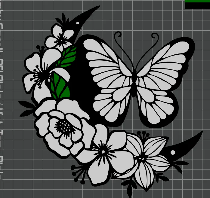 butterfly