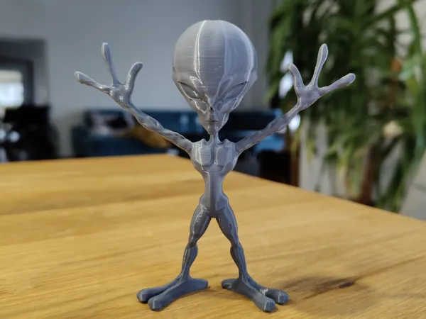 https://makerworld.bblmw.com/makerworld/model/US4f54ee150c7376/design/6175d9927f667466.jpg