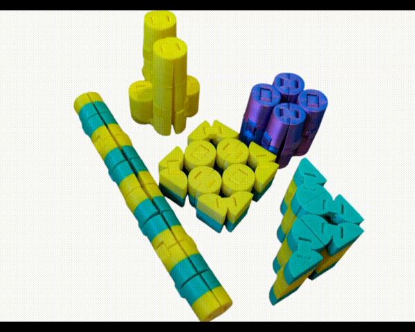 https://makerworld.bblmw.com/makerworld/model/US4f5d517b1229c8/design/2024-09-03_ab949ecc42abd.gif