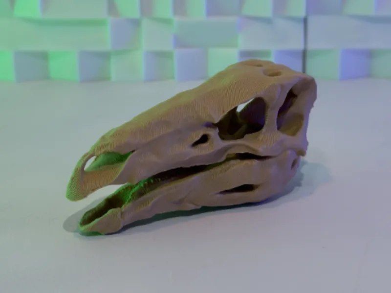 Stegosaurus Skull (10-25 Grams)