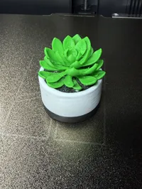 Original, 2in Height, 3 Colors, 0.2mm Layer