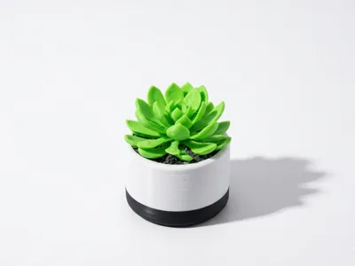 Mini Desk Succulent: Echeveria