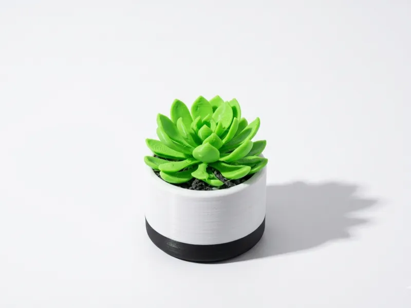 Mini Desk Succulent: Echeveria