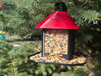 Bird Feeder
