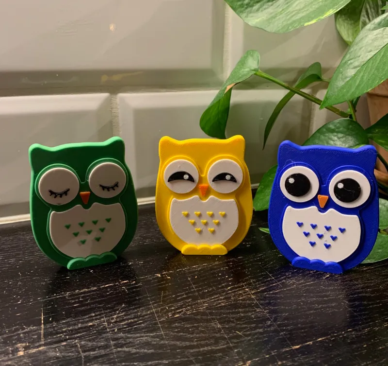 Surprised Owl