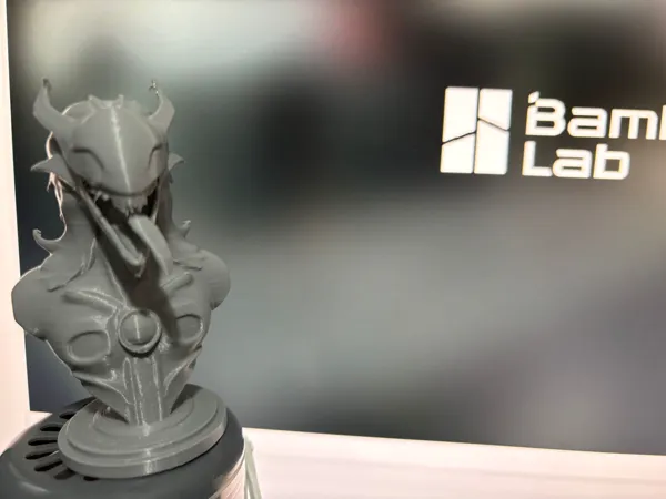 https://makerworld.bblmw.com/makerworld/model/US4f68d1993c188a/design/2024-11-27_29031111264dd.jpg
