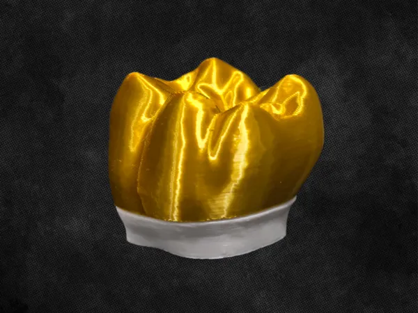 https://makerworld.bblmw.com/makerworld/model/US4f6d0e94c1444e/design/2025-03-31_e820e95a7adad.png