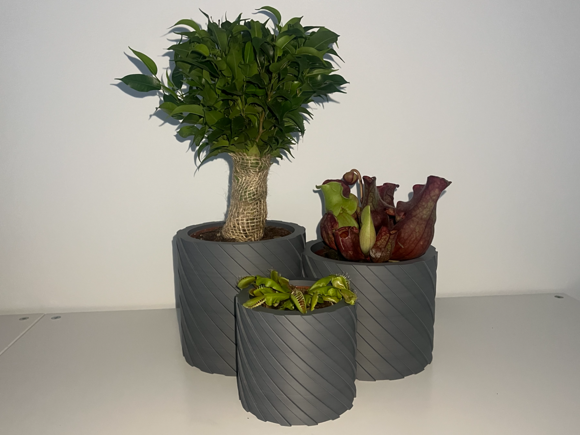 3 in 1 Blumentopf