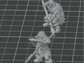 Tribal Warriors