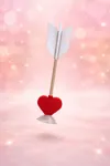 V2 Heart and Wings AMS