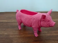 Pig Bowl