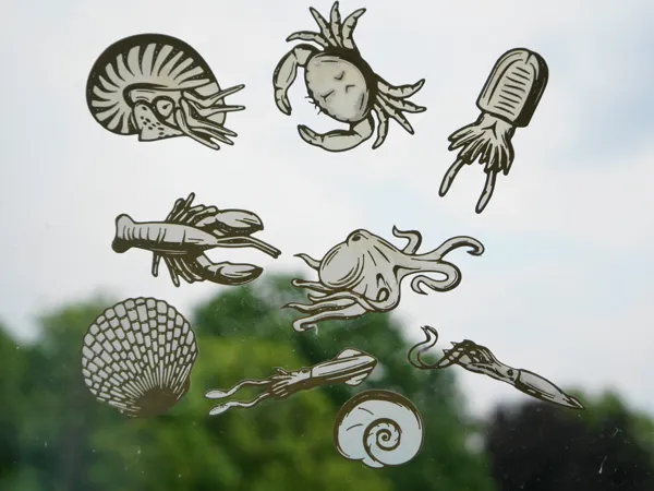 https://makerworld.bblmw.com/makerworld/model/US4f88a6da21f844/design/2024-08-05_848087253801a.jpg