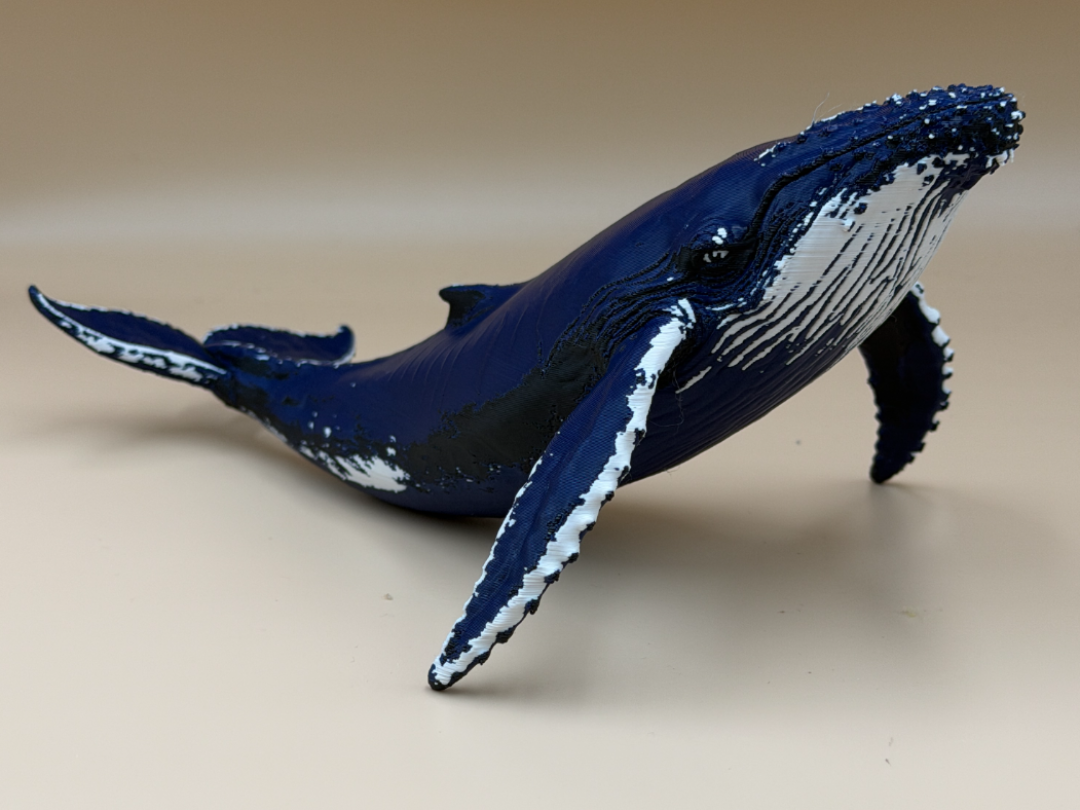 Ocean Majesty – Humpback Whale - 1
