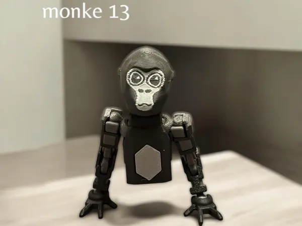 https://makerworld.bblmw.com/makerworld/model/US4f8b4f241f3d7d/design/2025-02-12_3561eb5ab4e4f.jpg