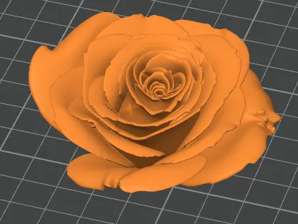 ros