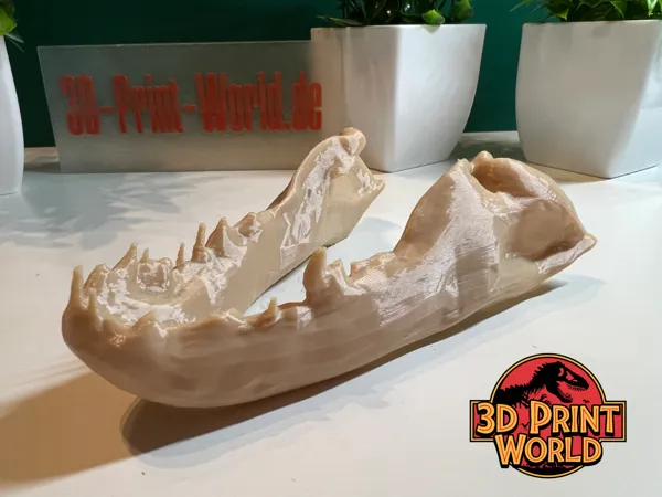 https://makerworld.bblmw.com/makerworld/model/US4f8f0064a31e10/design/2025-01-17_8cfb0ac5e2e56.png