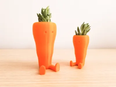 Cute Carrot Shaped Suculent planter