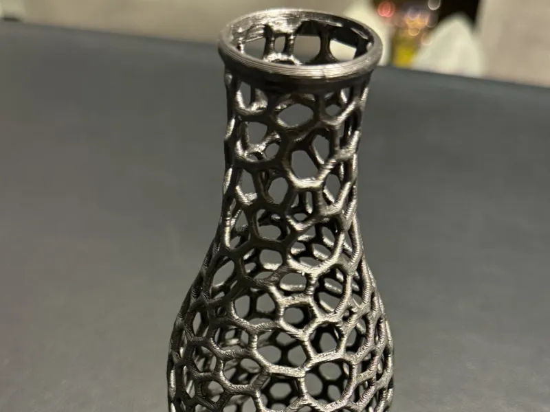 Voronoi Bottle