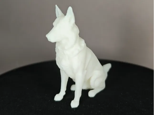 Hunde Statue Aussi Austrilen Shepperd