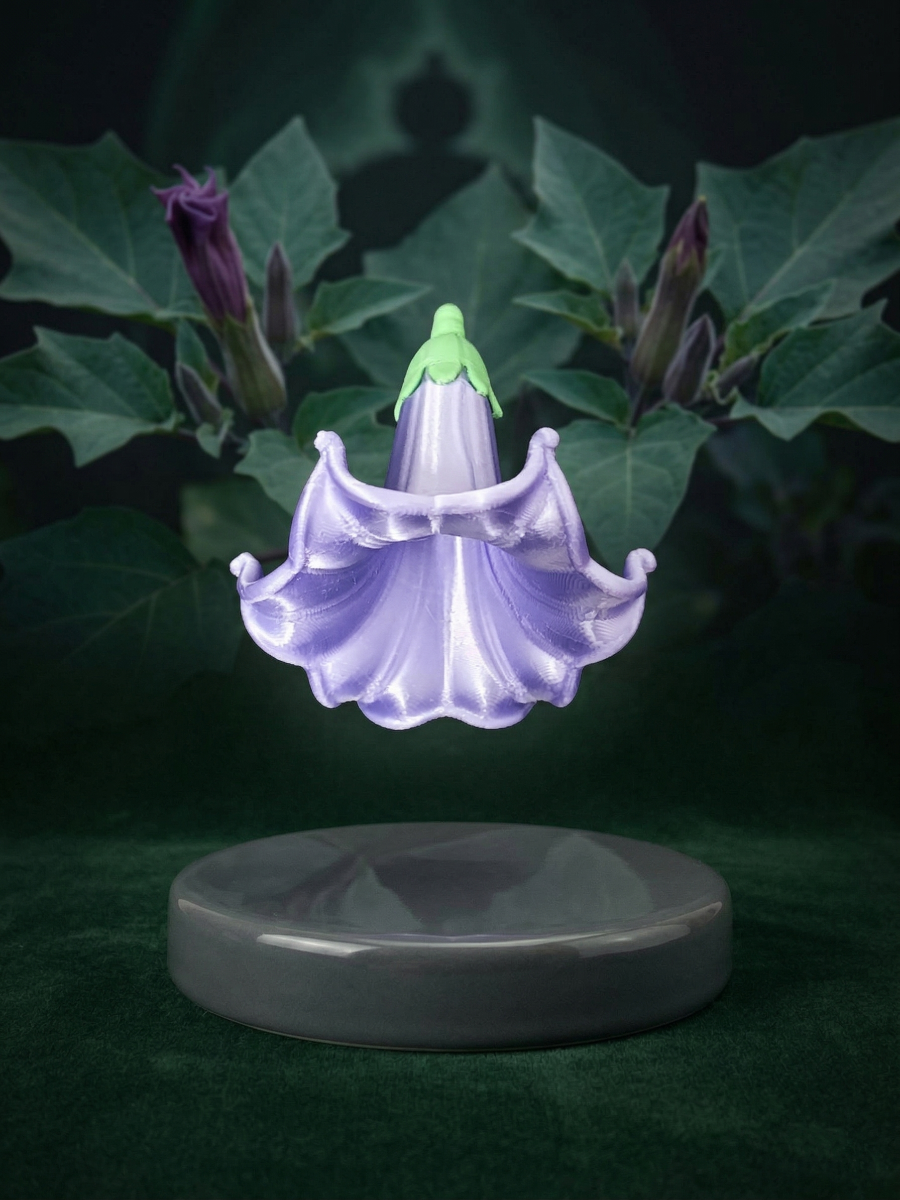 Miniatura 2 do modelo 3D 喇叭花 牵牛花 植物 假花 装饰花 模型花 装饰摆件 装饰花卉 植物3D模型 拆件分色 免AMS
