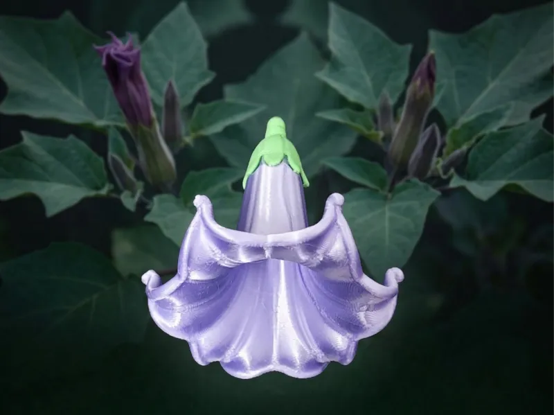喇叭花 牵牛花 植物 假花 装饰花 模型花 装饰摆件 装饰花卉 植物3D模型 拆件分色 免AMS