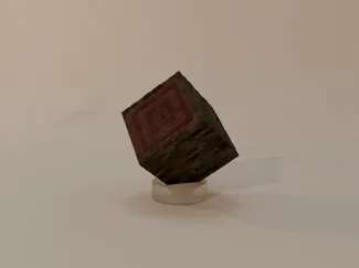 Minecraft Mangrove Log