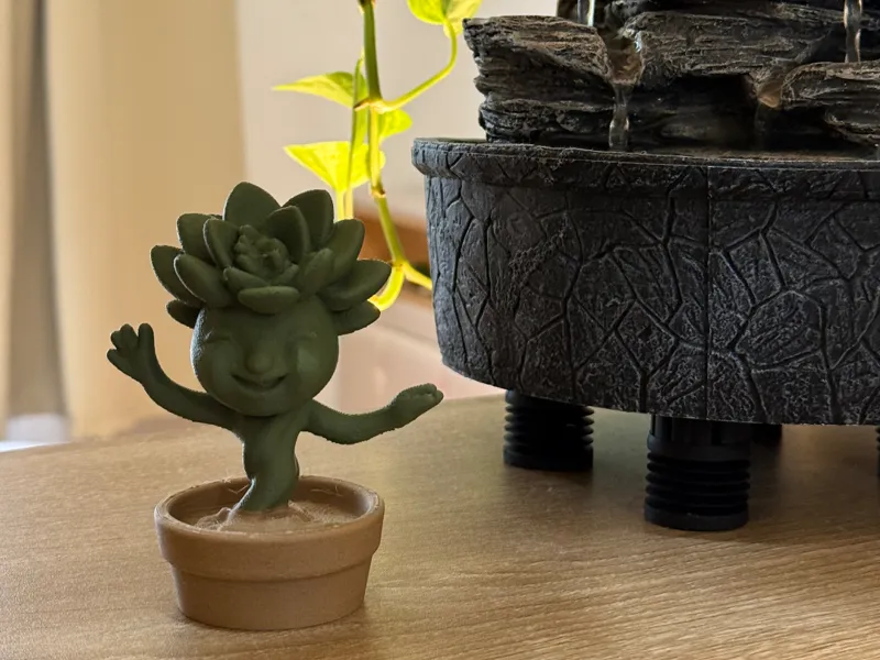 Happy Succulent in Planter (Decoration)