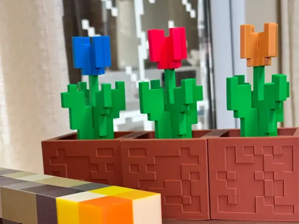 https://makerworld.bblmw.com/makerworld/model/US4f9eca2ee6faa0/design/328669bb-2ffb-42cf-99fe-a82b164ec775.webp
