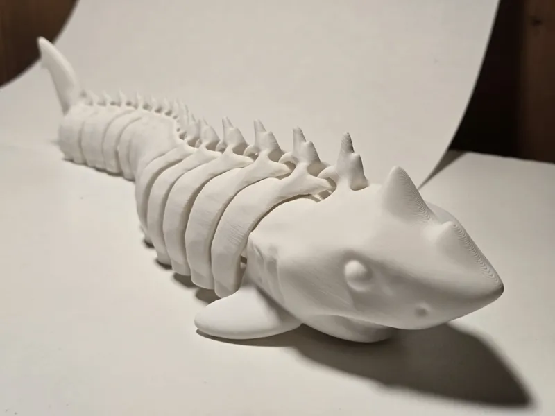 Skeleton Shark Articulated Bones