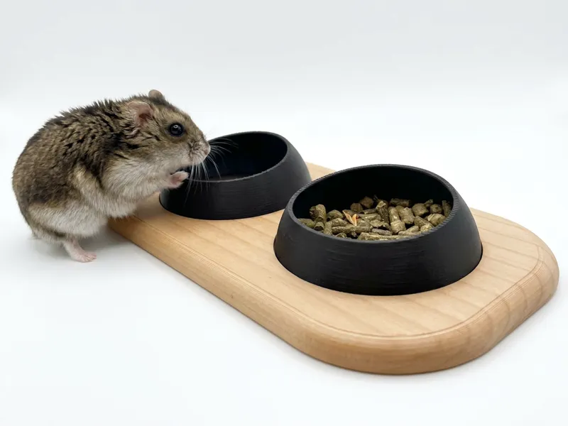 Hamster Feeders 2.0