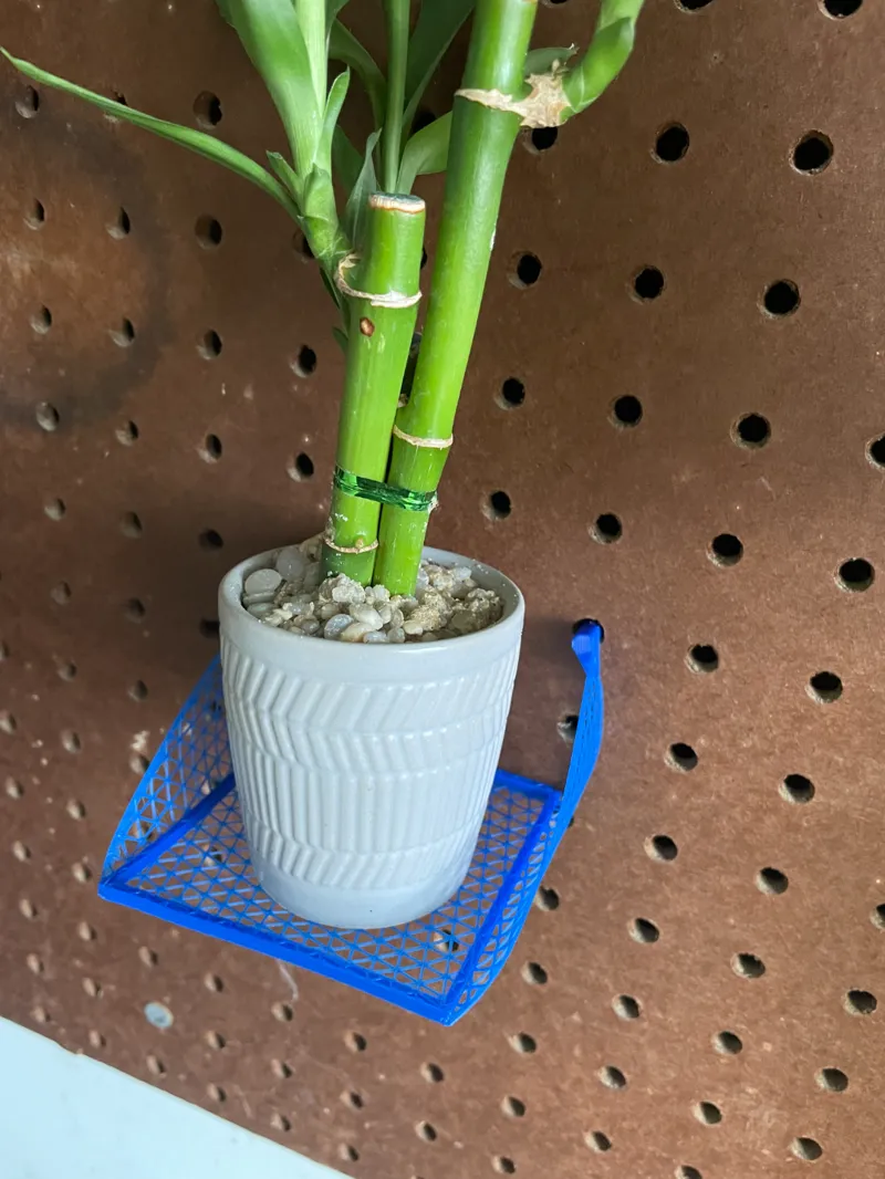 5 gram Peg Board Shelf