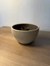 Nut bowl with insert
