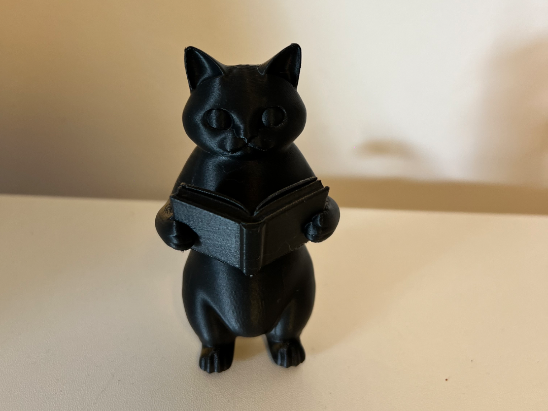décoration chat qui lit