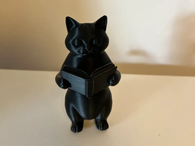 décoration chat qui lit