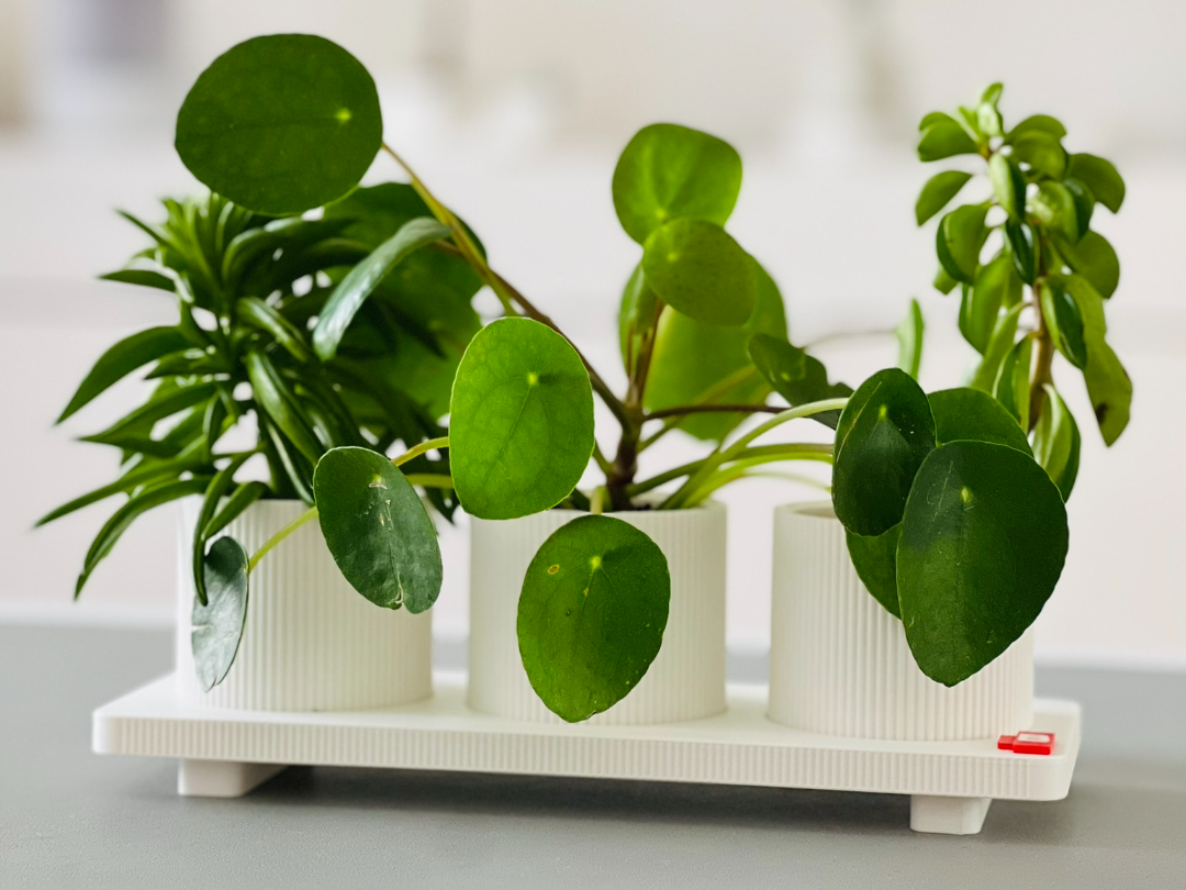 Bralento Living - Trio Planter Tray Set